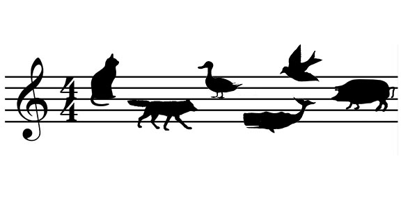 Animals in Music