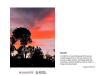 11-sunset